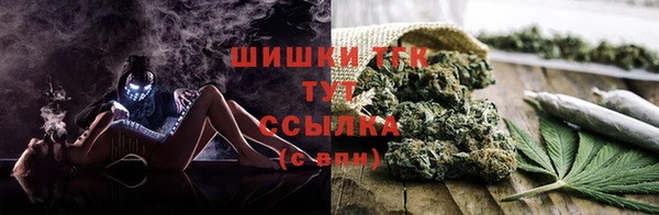 соль курить ск Алзамай