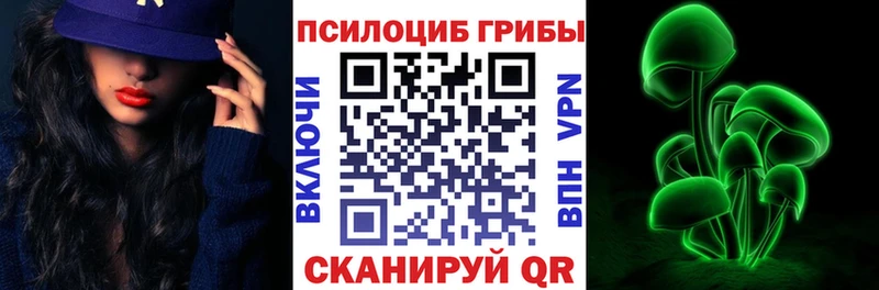 Псилоцибиновые грибы Psilocybine cubensis  Тюмень 